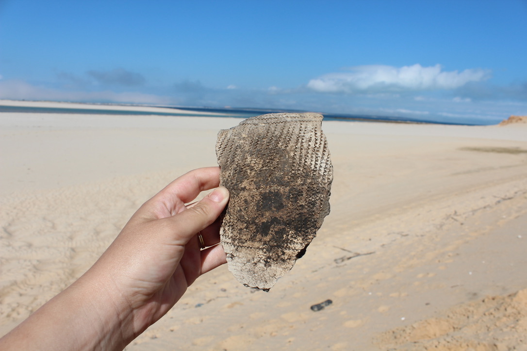 A sherd being held in front of a sandy background.