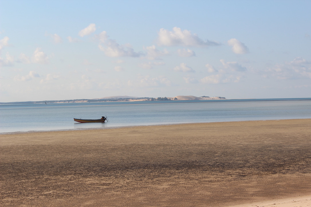 A sandy beach foreground, with a body of water in the distance, a small boat sits on the water.