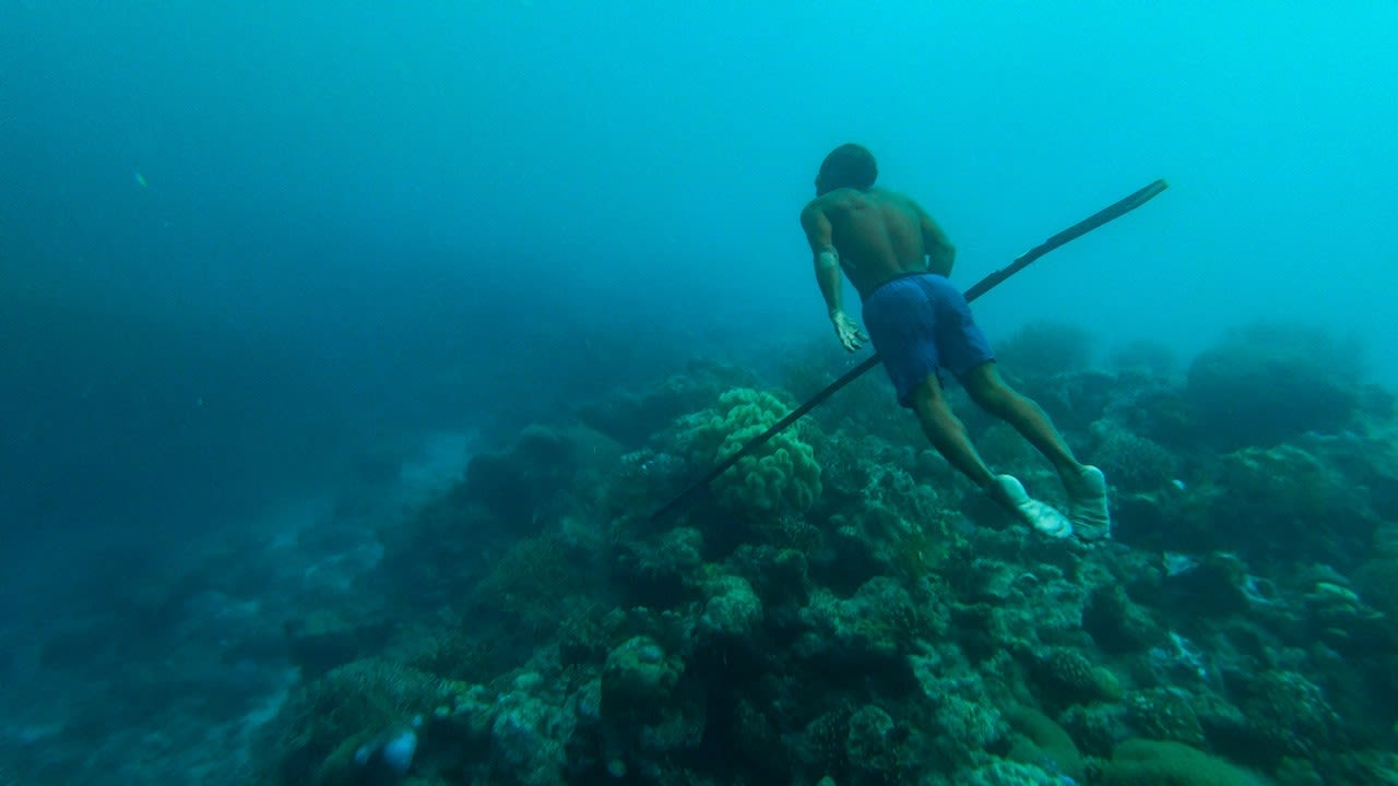 Bajau spearfisherman, Wakatobi National Park, Sulawesi, Indonesia