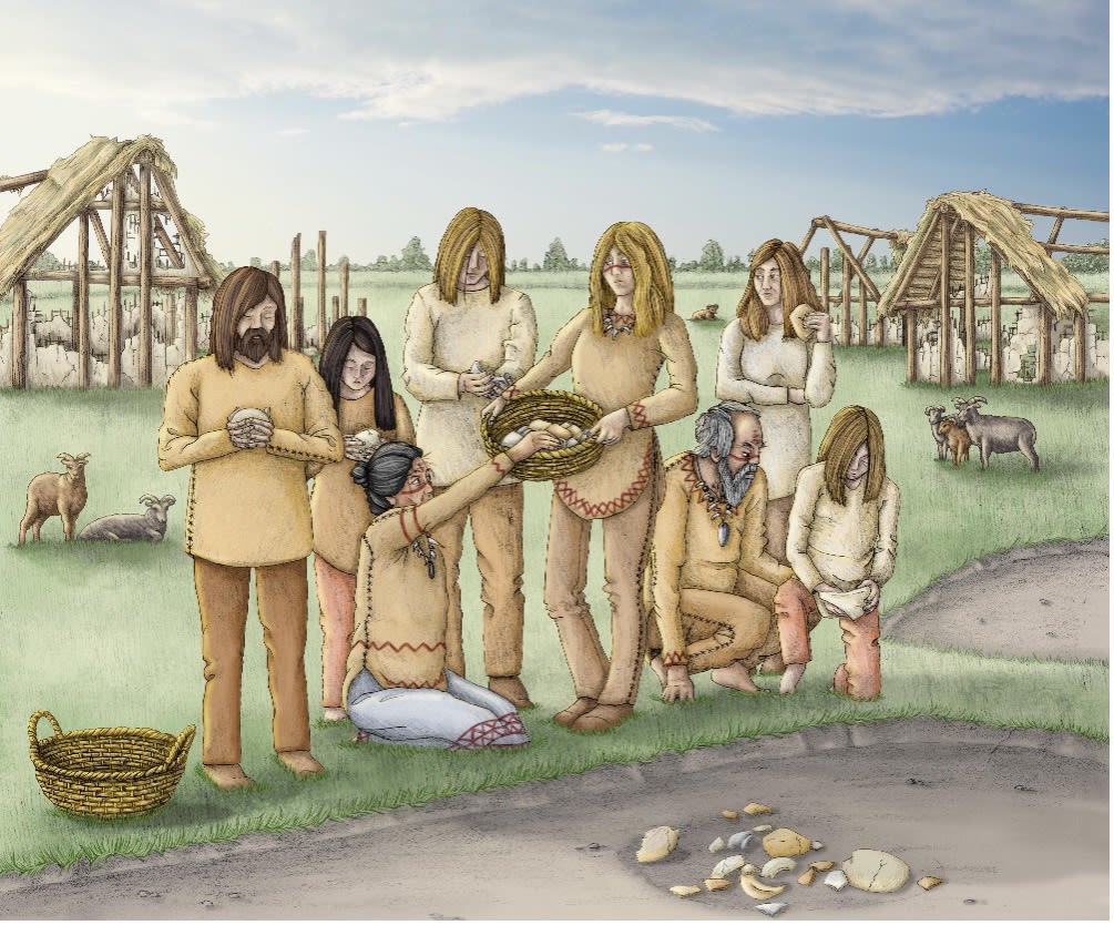 Illustration reconstructing the final deposition of these cranial fragments within the abandoned part of the village at Masseria Candelaro, by Vicki Herring
