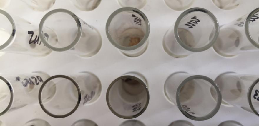 isotopesamples.jpg