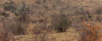Cradle of Humankind, near Johannesburg, South Africa. Photo: Paloma de la Peña