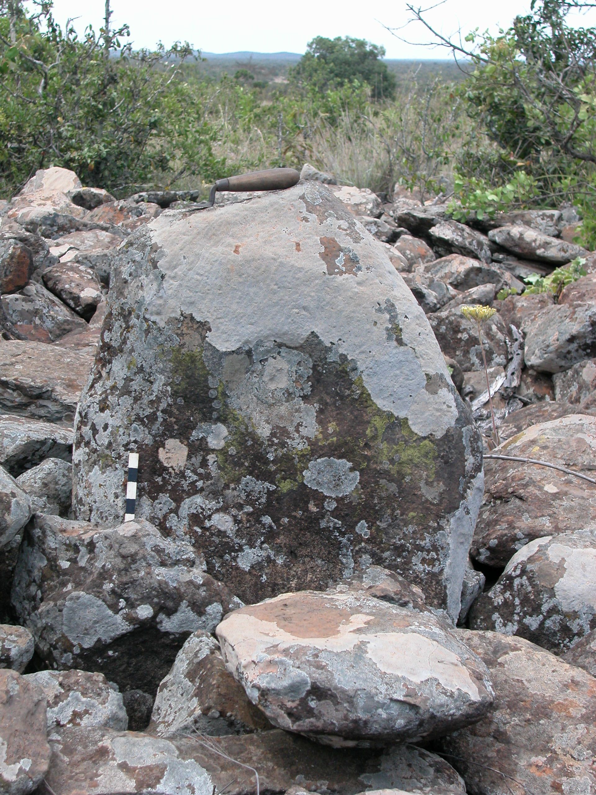 Dished monolith, Mugie Cairnfield, Laikipia County, Kenya